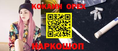 крисы Ахтубинск