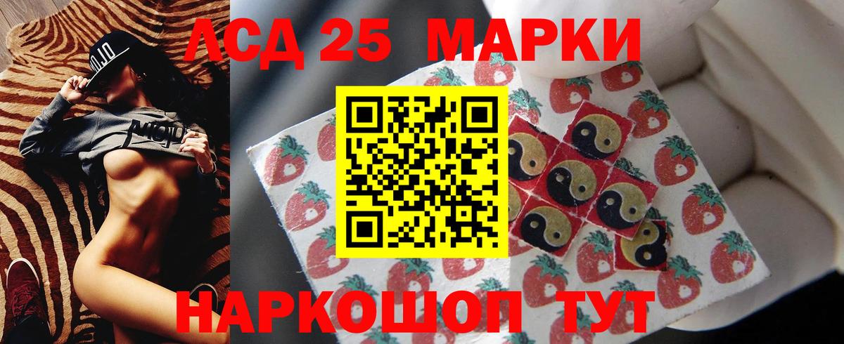 Альфа ПВП Котлас