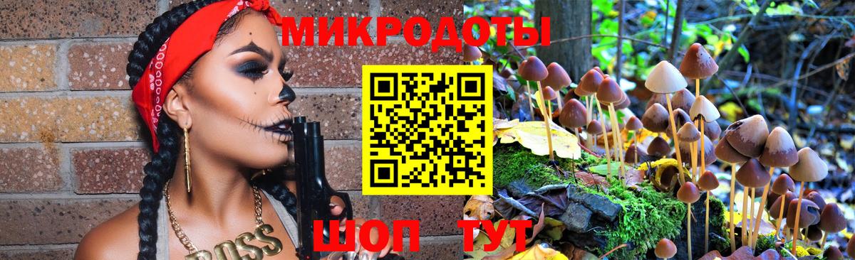 Галлюциногенные грибы Psilocybine cubensis Котлас