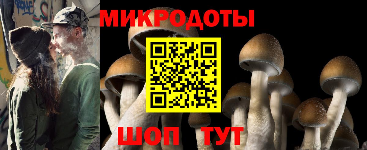 Галлюциногенные грибы ЛСД  Псилоцибиновые грибы прущие грибы  Вход с VPN  магазин продажи   Котлас 
